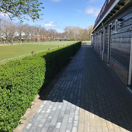 Vakantiewoningen De Schelp Ренессе Экстерьер фото