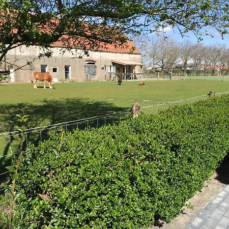 Vakantiewoningen De Schelp Ренессе Экстерьер фото