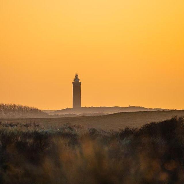 Vakantiewoningen De Schelp Ренессе Экстерьер фото
