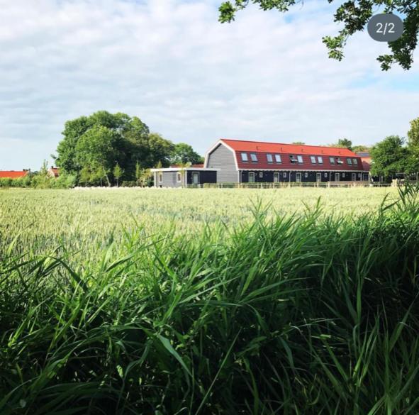 Vakantiewoningen De Schelp Ренессе Экстерьер фото