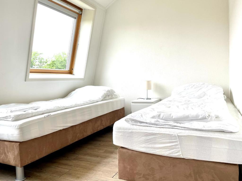 Vakantiewoningen De Schelp Ренессе Экстерьер фото