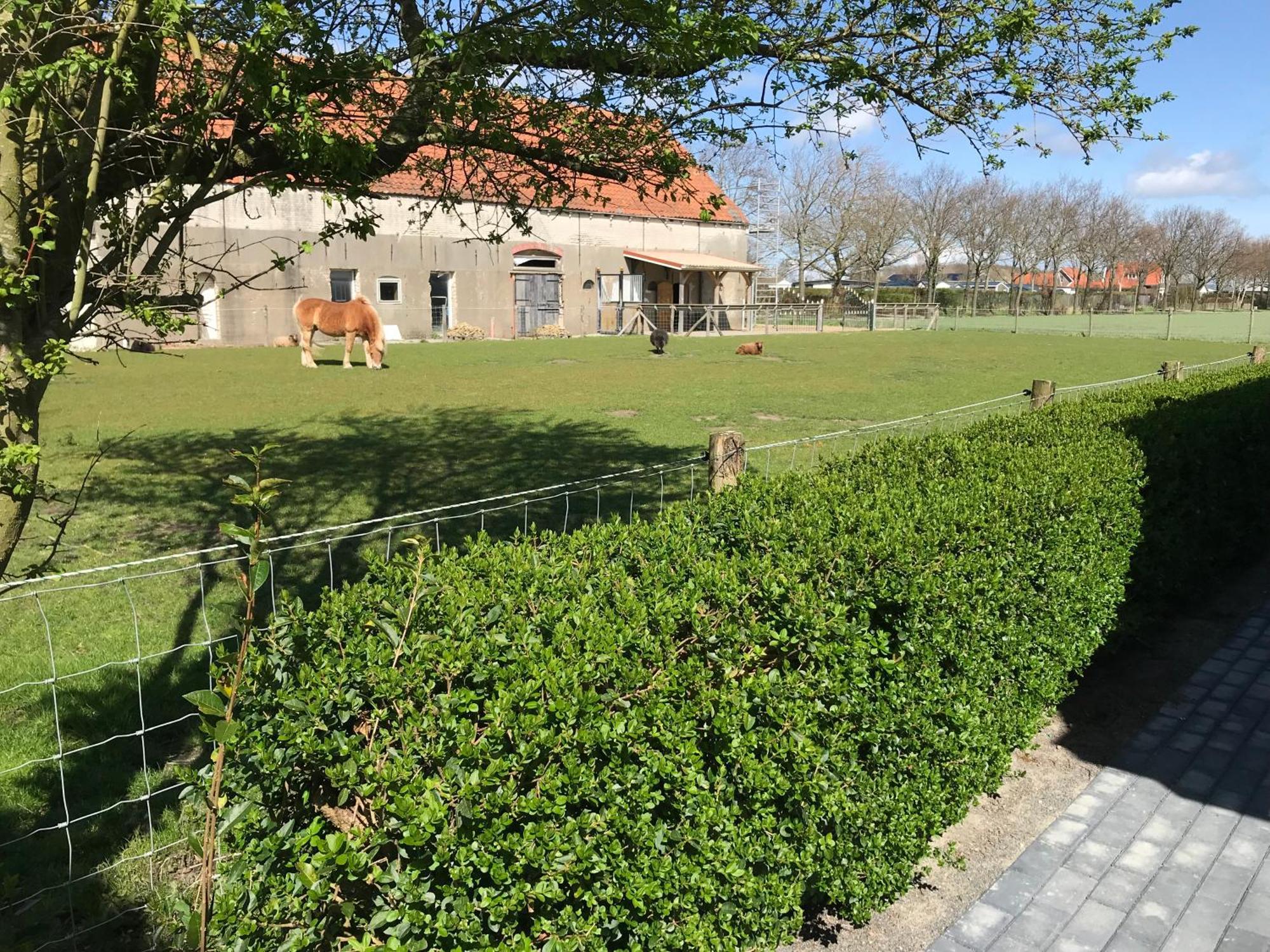 Vakantiewoningen De Schelp Ренессе Экстерьер фото